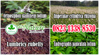 Illustration for article titled Nama Jenis Obat Kencing Nanah Ampuh Di Apotik Selain Antibiotik